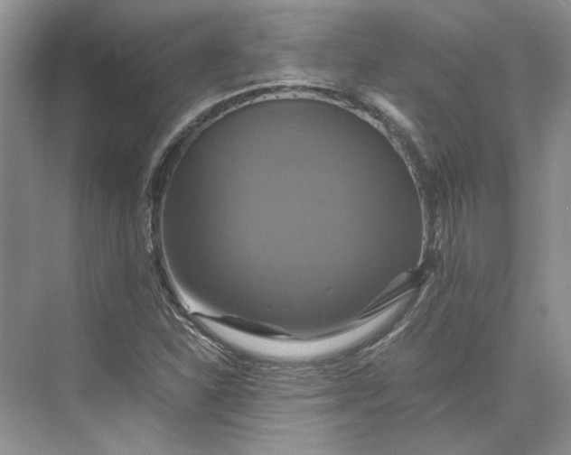 X0000075861310200609291537