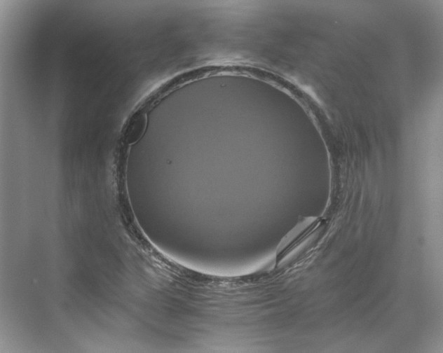 X0000075861311200609291537