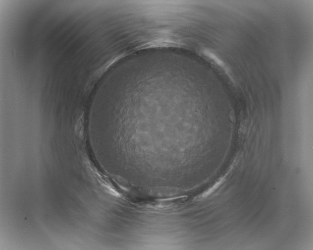 X0000075861313200609291537