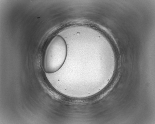 X0000075861314200609291538