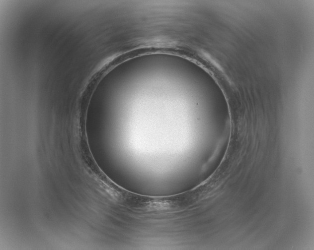 X0000075861315200609291538