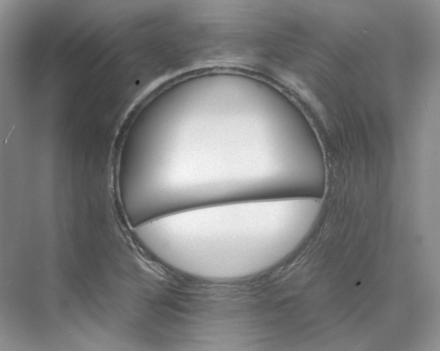 X0000075861316200609291538