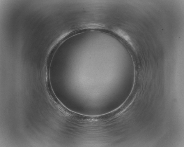 X0000075861317200609291538