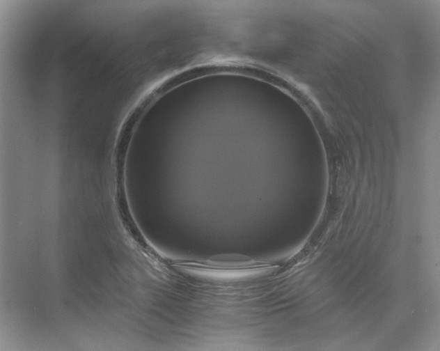 X0000075861319200609291538