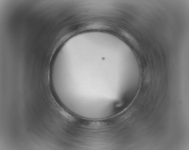 X0000075861322200609291538