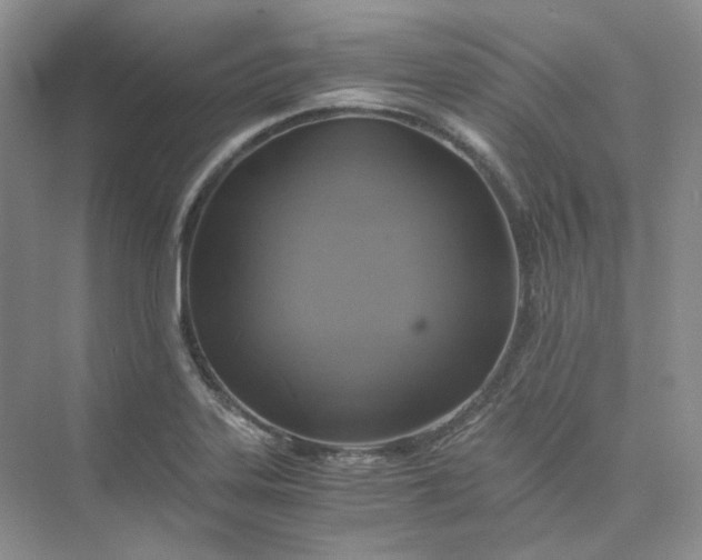 X0000075861323200609291538