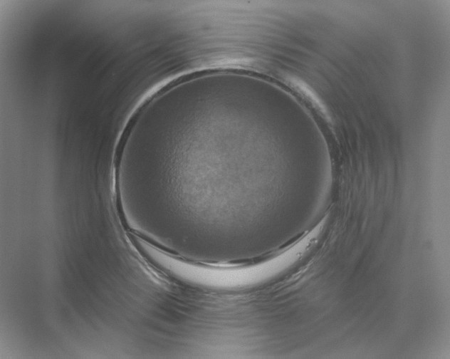 X0000075861324200609291538