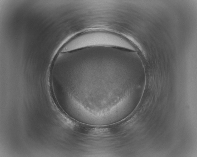 X0000075861325200609291538