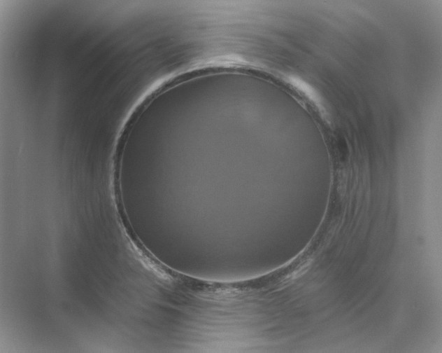 X0000075861326200609291538