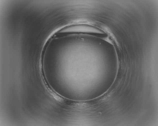 X0000075861328200609291538