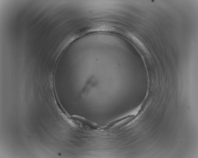 X0000075861329200609291538