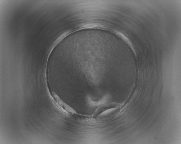 X0000075861330200609291538