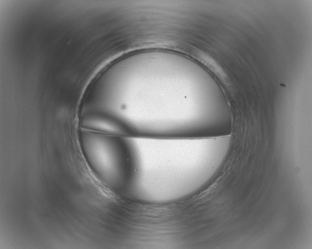 X0000075861332200609291538