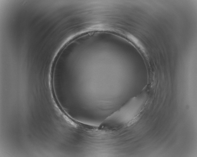 X0000075861334200609291538