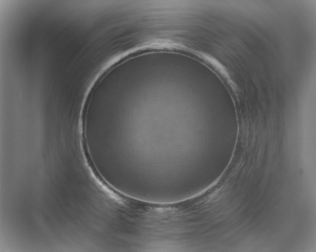 X0000075861335200609291538