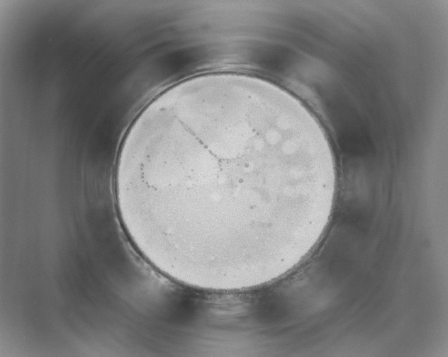 X0000075861338200609291538