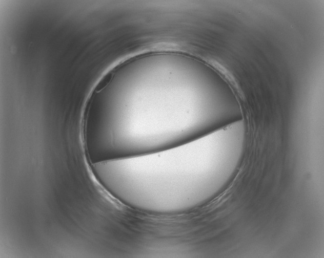 X0000075861342200609291538