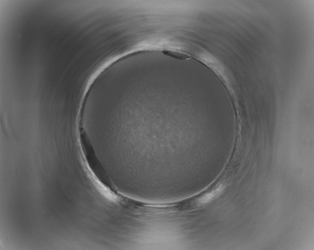 X0000075861344200609291538