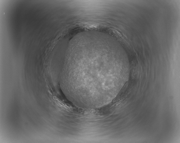 X0000075861345200609291537