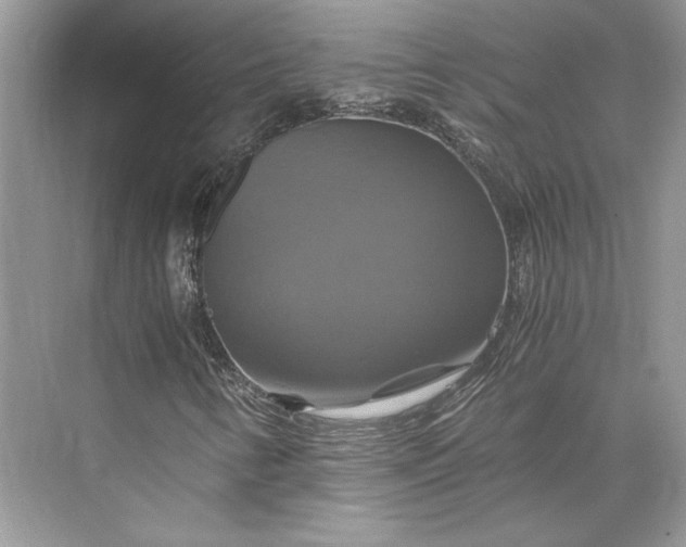 X0000075861346200609291537