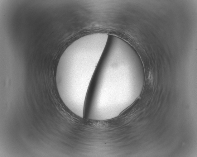 X0000075861348200609291537