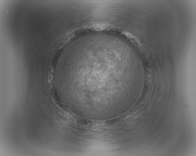 X0000075861349200609291537