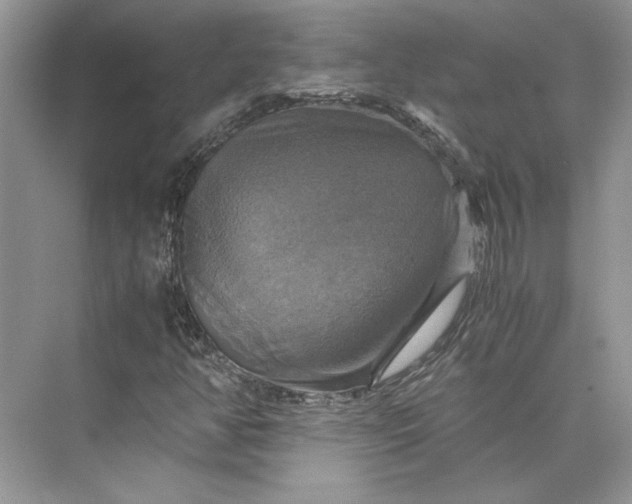 X0000075861350200609291537