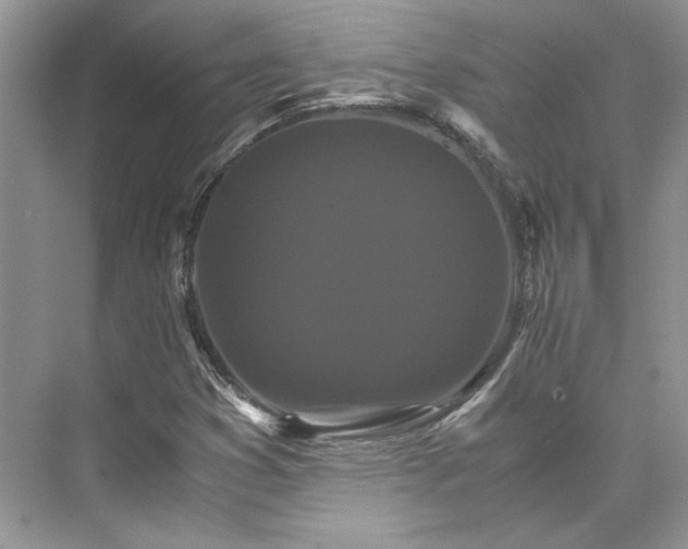 X0000075861353200609291537