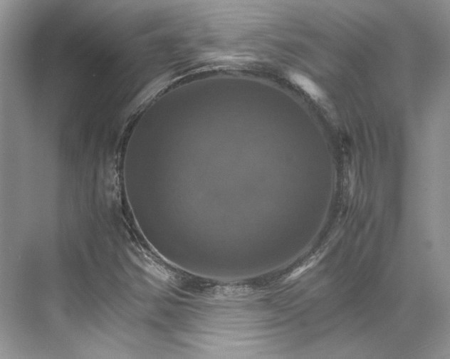 X0000075861354200609291537