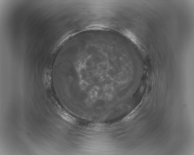 X0000075861355200609291537