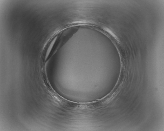 X0000075861357200609291537