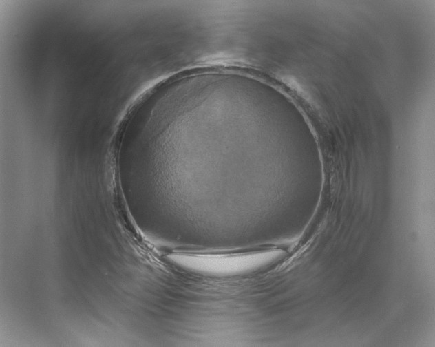 X0000075861358200609291537