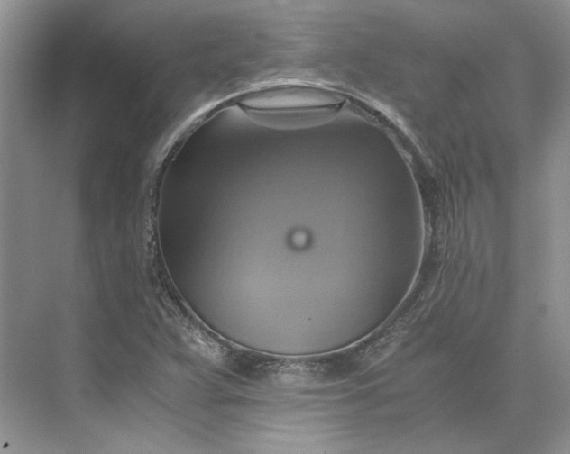 X0000075861359200609291537