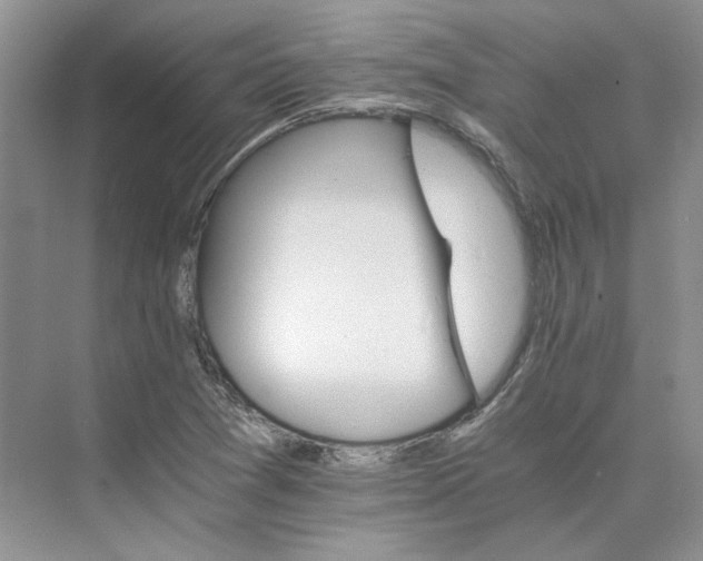 X0000075861361200609291537