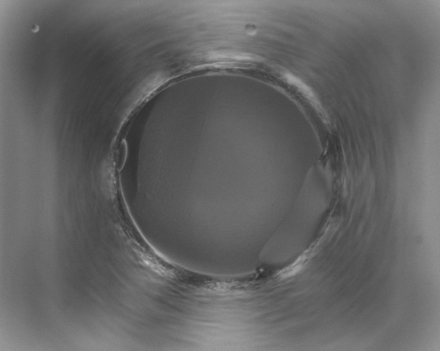 X0000075861362200609291537