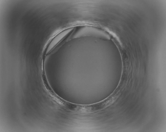 X0000075861365200609291537