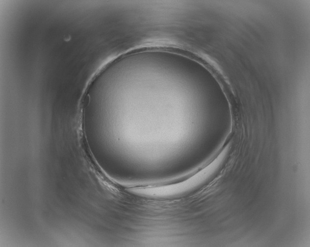 X0000075861366200609291537