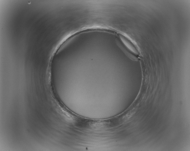 X0000075861367200609291537