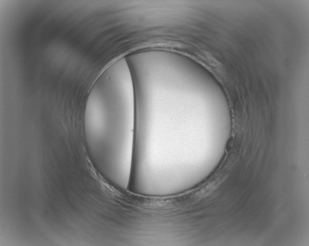 X0000075861369200609291537