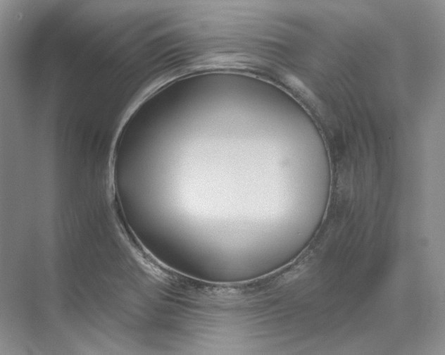 X0000075861370200609291537