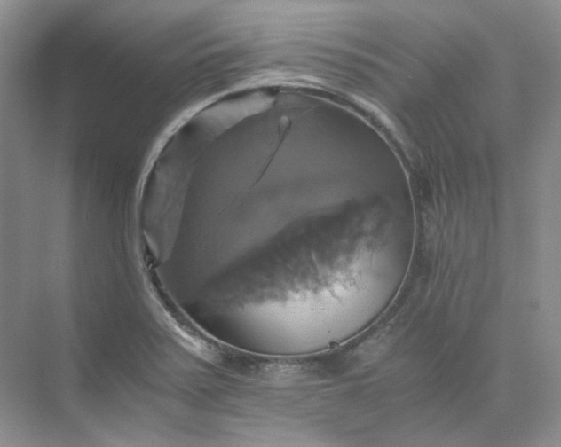 X0000075861371200609291537