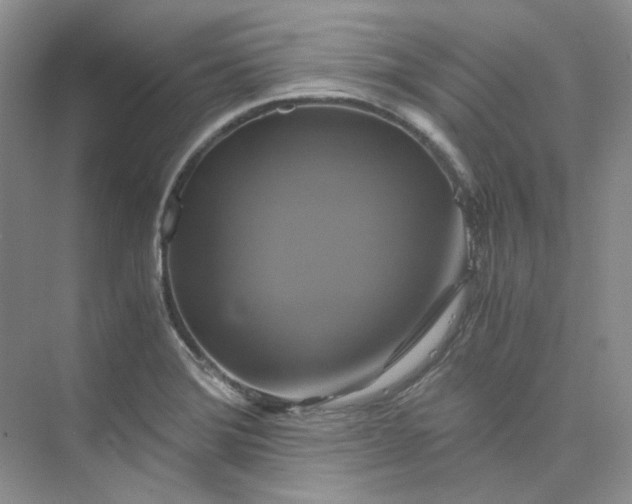 X0000075861372200609291537