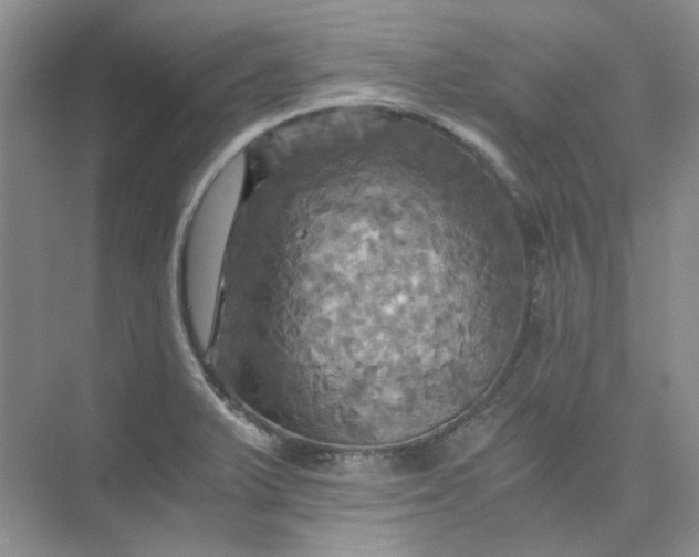 X0000075861375200609291537