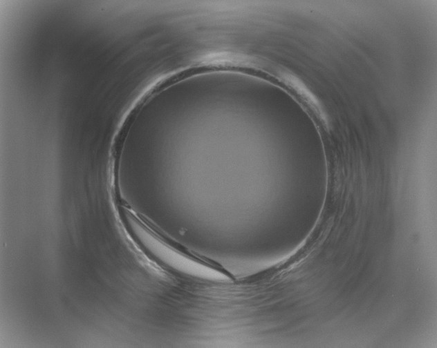 X0000075861376200609291537