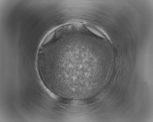 X0000075861379200609291537