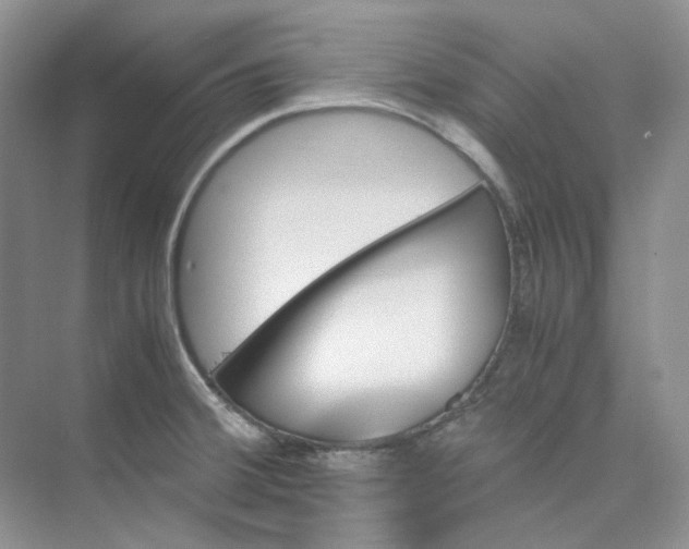 X0000075861380200609291537