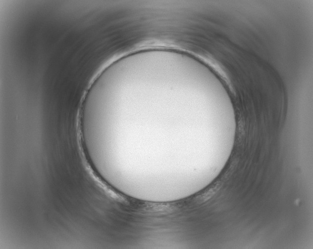 X0000075861382200609291537