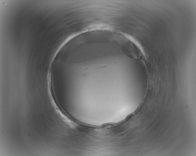 X0000075861383200609291537