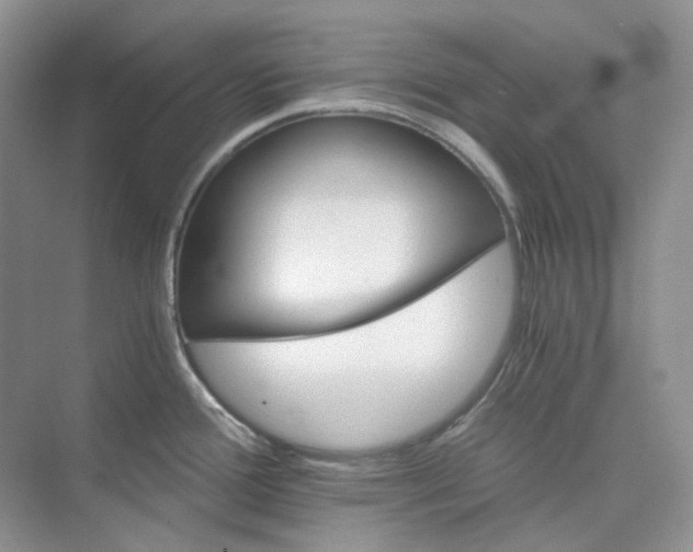 X0000075861388200609291536