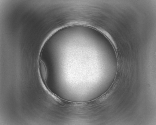 X0000075861389200609291536